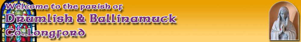 Drumlish Parish Banner image